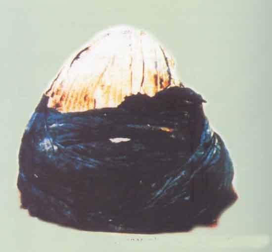 Hz. Muhammed'in sarığı