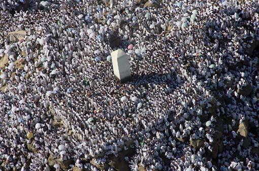 Arafat'ta insan seli