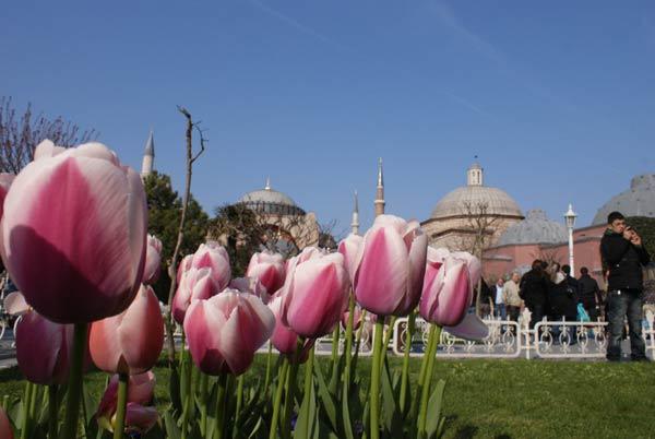 Ayasofya