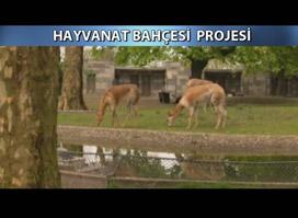 Hayvanat bahçesi