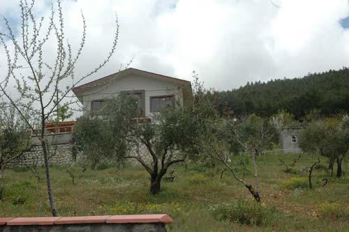 Kahramanmaraş'ta, 4 kardeşin birlikte ölüme gittiği ev ilk kez görüntülendi. İçerideki dünya, en az yaşanan olayın kendisi kadar soğuk ve ürpertici.