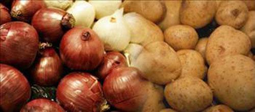 <p>Elma, soğan ve patatesin tadı aynıdır. Fark sadece tamamen kokularından kaynaklanır. Aslında hepsi tatlıdır.