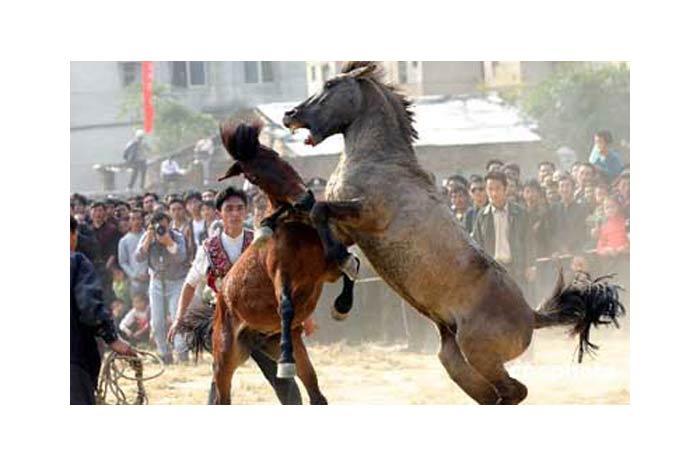Dünya bu vahşeti konuşuyor