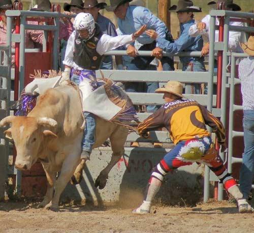 Rodeo esnasında yaşanan tehlikeli anlar...