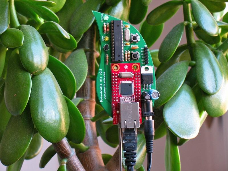 SparkFun tarafından üretilen "Botanicalls Kit" evdeki bitkileri Twitter'a bağlıyor, böylece çiçekler su istedikleri an tweet atabiliyor.