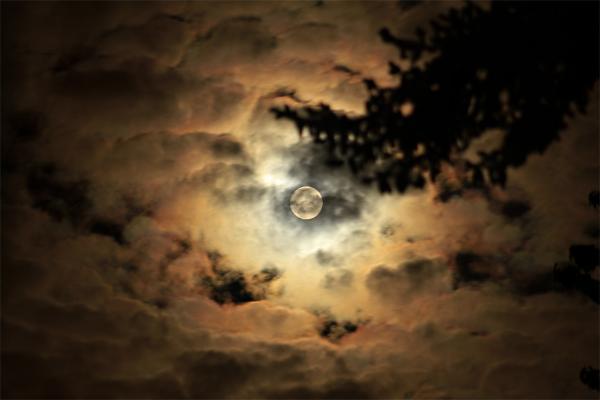 Ay dünyaya en yakın geçişini yaptı