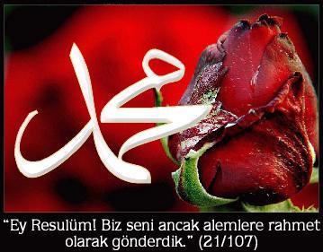 Bu ayeti kerimeler hakkında Resulü Ekrem buyurdu: <br><br>"Allah Teala cennet hazinelerinden olan iki ayeti(ayetel kürsi,amenerrasulü) bana indirdi.Allah mahlukatı yaratmazdan iki bin sene evvel o iki ayeti kudret eli ile yazdı.Kim gece yatsı namazından sonra o iki ayeti okursa gece ibadetinden ona kafi gelir."