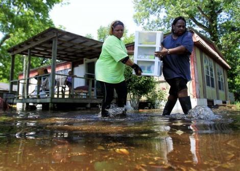 ABD'de Mississippi Nehri'nin taşması sonucu Memphis kentinin büyük bölümü sular altında kalırken, sel sularında çok sayıda yılan ve zehirli böceğin görülmesi büyük panik yarattı.