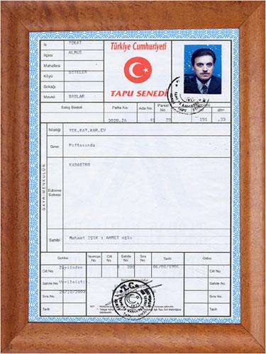 1986
