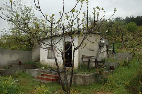 Kahramanmaraş'ta, 4 kardeşin birlikte ölüme gittiği ev ilk kez görüntülendi. İçerideki dünya, en az yaşanan olayın kendisi kadar soğuk ve ürpertici.