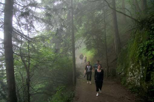Trabzon'un hemen hemen bütün ilçelerine bağlı yaylalarda trekking ve cip safari için uygun alanlar bulunuyor. Çeşitli turizm şirketleri, tatilini bu yönde geçirmek isteyenler için tur programları düzenlerken, TEMA Vakfı Temsilciliği ile kentteki dağcılık kulüpleri de her hafta sonu gezi programları organize ediyor.