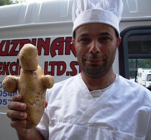 İlginç şekilli patatesi saklayan Arım, "Bunca yıllık aşçıyım, ilk defa böyle bir patates gördüm ve saklamaya karar verdim. Şimdi şirketimizde cam bir kasede patatesi sergiliyorum. Her gören şaşırıyor" dedi.