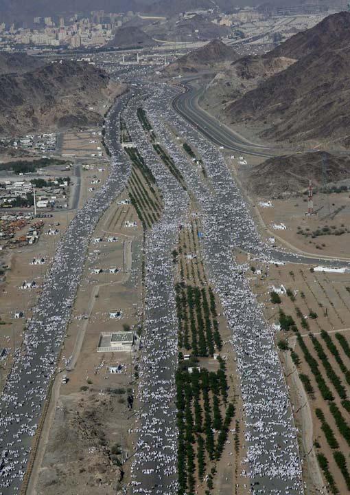 Arafat'ta insan seli