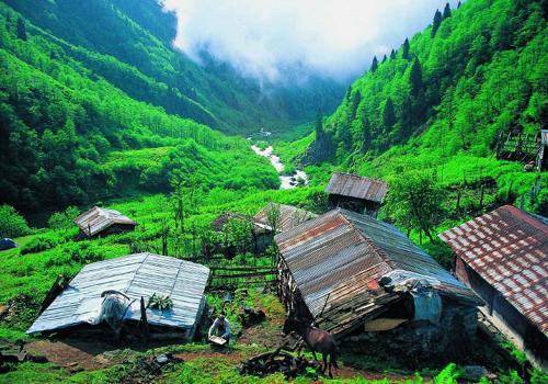 RİZE ---

Rize`de 15 aday adayı arasında yapılan temayül yoklamasında ilk sırayı Yunus Öksüz alırken Harun Mertoğlu 379`la ikinci Hasan Velioğlu ise 369 oyla 3. sırada yer aldı.

15 aday adayının yarıştığı yoklamada Yunus Öksüz 408, oyla birinci, Avukat Harun Mertoğlu 379, Dr. Hasan Velioğlu 369, Eczacı Davut Birben 362, Avukat Hızır Keskin 308, Sebahat Çakır 283, Süleyman Basa 280, Seher Kandıl 232, Yunus Köroğlu 255, Hüseyin Kaya 185, Adem Biberoğlu 184, Talip Parlak 123, Mlehmet Okumuş 119, Mustafa Demir 115 ve Mehmet Karaca ise 82 oy aldı.