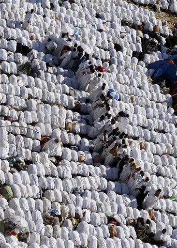 Arafat'ta insan seli