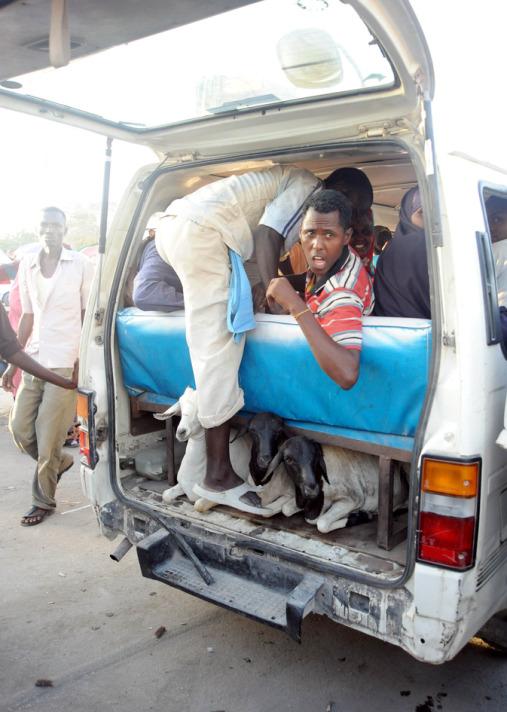 Somali'de çoğu zaman hayvanlarla yolculuk yapan halk, otobüs içinde yolculuk yapınca fazla para ödediklerinden dolayı tehlikeli yollara başvuruyor.

Ücretlerin Türk parası karşılığı 1 TL'ye yakın olduğu minibüs yolculuğundan kapıdan sarkarak ya da aracın üzerine binerek gidenler ise sadece 50 Kuruş ödüyor.