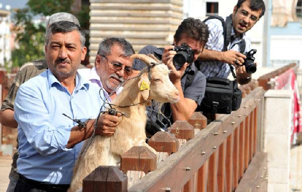 Antalya'da mahallerindeki üst geçidin yürüyen merdivenlerinin 30 aydır çalışmamasına kızan mahalle sakinleri keçilerle Başkan Akaydın'ı protesto etti. Objektiflere yansıyan o anlar: