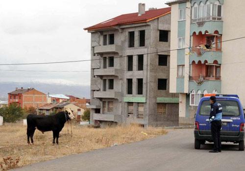 Selde 4 kişinin öldüğü, 2 kişinin ise kaybolduğu Serik ilçesi Gebiz beldesine bağlı Haskızılören köyünde Kurban Bayramı buruk kutlanıyor.