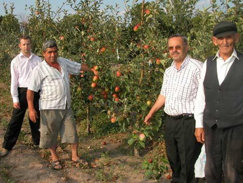 Burası da Lalapaşa. Trakya çiftçisi artık ayçiçeği ve buğdaya alternatif olarak meyveciliğe de başlamış