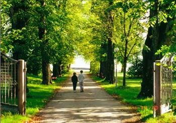 Maçka parkında çimlere yatıp bulutları izlemek