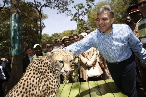 Cumhurbaşkanı Abdullah Gül, eşi Hayrünnisa Gül, Devlet Bakanı Said Yazıcıoğlu, Ulaştırma Bakanı Binali Yıldırım ve heyettekilerle Nairobi Ulusal Parkı'n çitaların bulunduğu kafese girdi ve çita sevdi...
