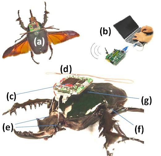 <p>• Siborglar (kimi fizyolojik işlevleri mekanik ya da elektronik araçlar yardımıyla sürdüren canlılar; takma bacaklı ya da kalp pili olanlar da siborg sayılırlar) dikkat! Washington Üniversitesi’nden Tadayoshi Kohno bir süre önce kablosuz bir defibrilatörün sistemine girerek ölümcül güce sahip elektrik darbelerinin üretilmesine neden oldu.</p>
<p>• Bu durum kendilerine derin beyin uyarıcıları uygulanan hastalar açısından hiç de hoş değil.</p>