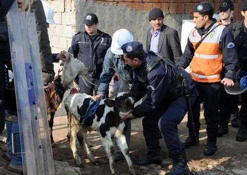 Sultanbeyli'de yaklaşık 50 gecekonduyu yıkmak için gelen yıkım ekipleri ile gecekondu sahipleri arasında kavga çıktı. Yıkım sırasında objektiflere yansıyan kareler insanın kanını dondurdu: