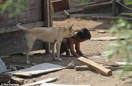 Anne ve babası öldükten sonra amcasının yanına verilen 12 yaşındaki Çinli çocuğa amcası hasta olduğunu bahanesiye köpeklerle aynı kulübeye zincirle hapsetti.