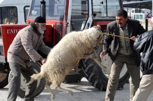Bayrama hazırlanan Türkiye'den manzaralar
