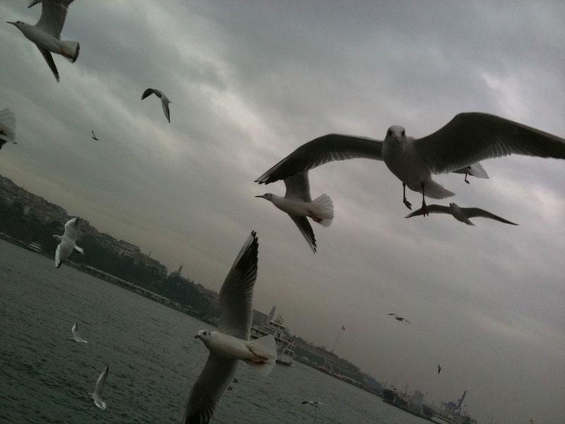 Hiç bakma öyle, ben de simit falan kalmadı. Acıktım, yedim.
