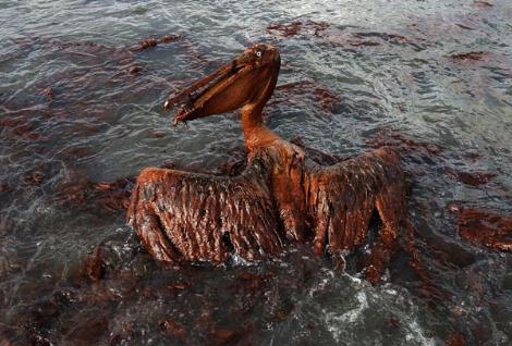 BP KARALAR BAĞLADI

2010, bazı şirketler için tarihlerinden silmek isteyecekleri bir yıl oldu aynı zamanda. Meksika Körfezindeki Deepwater Horizon petrol platformunda 11 kişinin hayatını kaybetmesine neden olan 20 Nisandaki patlama, aynı zamanda bugüne kadar şirket satın alımları ve rekor kazançlarıyla gündeme gelen İngiliz enerji devi BPnin prestijini de karaya boyadı.