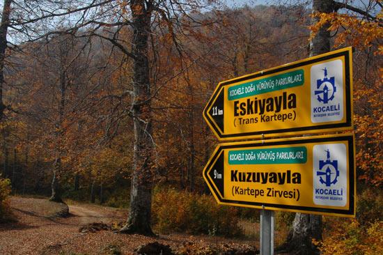 Kocaeli'nde şu an 79 parkurdan oluşan 705 kmlik Doğa Yürüyüş Parkuru var. Parkur sayısı Eylül ayının sonunda  100'e parkur uzunluğu ise toplamda 1000 km olacak...