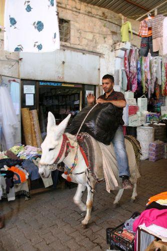 Abdulkadir Irız ise belediyenin İtalya'dan eşek getirecek olmasını hayretle öğrendiğini belirterek, "Burada eşek var, isteyen gelir, eşeklerimiz çok, köylerimizde de çok. Ama İtalya'dan getireceklerse ben anlamam. Bu eşekler deneyimlidir, her merdivenden çıkar, ama İtalya'dan gelecek eşek ne bilir merdivenleri." şeklinde tepki gösterdi.