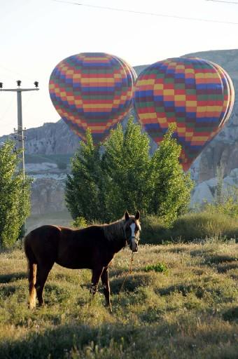 Nevşehir'de dün İngiliz turistleri taşıyan balonun düşmesi sonucu 1 kişinin öldüğü ve 10 kişinin yaralandığı kazanın ardından bölgede balon uçuşları devam etti.