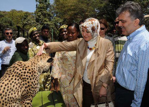 Cumhurbaşkanı Abdullah Gül, eşi Hayrünnisa Gül, Devlet Bakanı Said Yazıcıoğlu, Ulaştırma Bakanı Binali Yıldırım ve heyettekilerle Nairobi Ulusal Parkı'n çitaların bulunduğu kafese girdi ve çita sevdi...