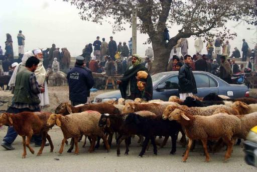 Bayrama hazırlanan Türkiye'den manzaralar