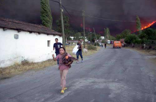 İzmir'in Menderes İlçesi'nde çıkan yangın doğyı yok ederken insan ve hayvan hayatını da tehdit ediyor!