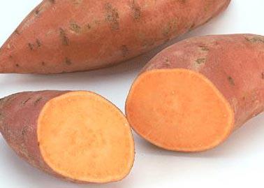 <b>Zahmetsiz ve pahalı bir ürün: Tatlı patates</b><br>
Manavlarda kilogramı 15-20 liradan satılan tatlı patates, Türkiyede henüz çok yaygın değil. Oysaki en az normal patates kadar zahmetsiz yetişiyor. Tek farkı ise tatlı patatesin daha sıcak iklimlerde yetişiyor olması. Türkiyede tatlı patatesin sadece Hatayda yetiştirildiğini söyleyen Mustafa Kemal Üniversitesi Ziraat Fakültesi Tarla Bitkileri Öğretim Üyesi Doç. Dr. Mehmet Emin Çalışkan, ürünün yüksek gelir sağladığına dikkat çekiyor. Üniversite olarak laboratuvarda ürünün hastalıklı genini temizlediklerini ve verimli hale getirdiklerini belirten Çalışkan, 3-5 yıl içerisinde bu ürüne olan talep artacak.