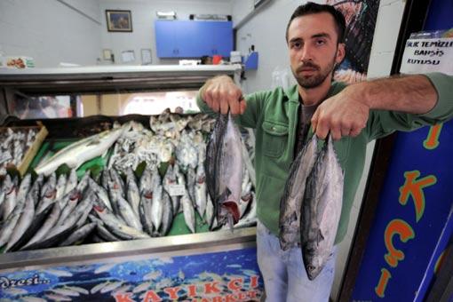 Halde hamsinin kasasının 20-40 lira arasında değiştiğini, kilosunun 2-2,5 liraya geldiğini belirterek, ''Buradan tüm Ege Bölgesi kentlerinin yanı sıra Ankara gibi diğer şehirlere de balık gidiyor. Oraya gidene kadar da nakliye ek maliyetler ekleniyor ve balığın fiyatı tezgahta burayla kıyasla çok daha yüksek oluyor'' dedi.
