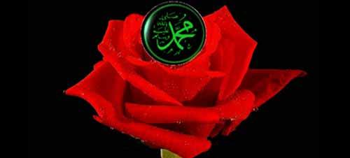 <b>HİMTÂYÂ, HİMYÂTÂ</b><br>
Himyâtâ veya Himtâyâ, Haremi koruyan, himaye eden manasına gelmektedir.
İbn-i Esir el-Herevî der ki: "Kâ'b'ın (radıyallâhu anh) rivayet ettiği bir hadiste şu kayıtlar geçmektedir: "Semâvî kitaplarda Resûlullah Haz-retlerinin şerefli isimleri Muhammed, Ahmed ve Himyâtâ'dır."
Ebu Amr da şöyle der: "İslâm'a giren Yahudi âlimlerinin ba-zısından bu ismin manasını sordum. Dediler ki: Manası, "Haremi haramdan korur ve helâle izin verir", demektir."