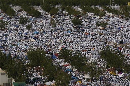 Arafat'ta insan seli