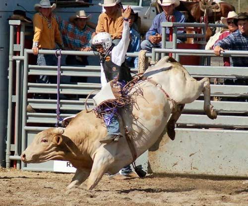 Rodeo esnasında yaşanan tehlikeli anlar...