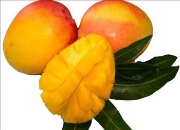 Ürün adı: Mango çetnisi
Getirdiği yıllık kazanç (2010): 7.104.09
Miktarı: 5422
İhraç edilen ülkeler: BAE, Özbekistan, Türkmenistan