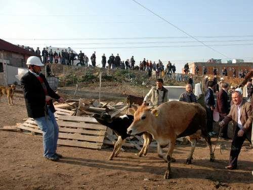 Sultanbeyli'de yaklaşık 50 gecekonduyu yıkmak için gelen yıkım ekipleri ile gecekondu sahipleri arasında kavga çıktı. Yıkım sırasında objektiflere yansıyan kareler insanın kanını dondurdu: