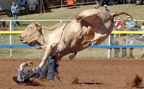 Rodeo esnasında yaşanan tehlikeli anlar...