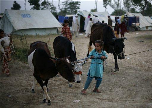 Pakistan ordusunun Taliban militanlarına yönelik saldırıları sürerken bölgeyi terk eden 500 bin kişiyi aşkın sivil zor şartlarda hayatta kalma mücadelesi veriyor.