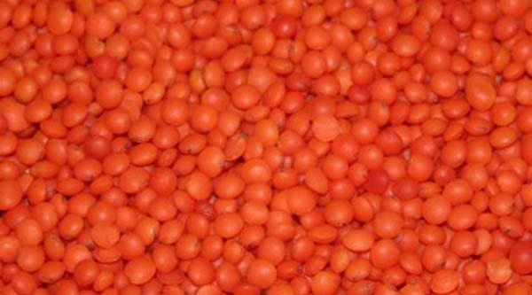 30. Mercimek: Protein bakımından zengin olan mercimekte ayrıca belirli doğum kusurlarını &ouml;nleyen bir besin olan folattan bol miktarda bulunuyor. (Kaynak: Reader's Digest Dergisi)