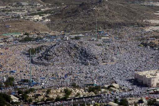 Arafat'ta insan seli