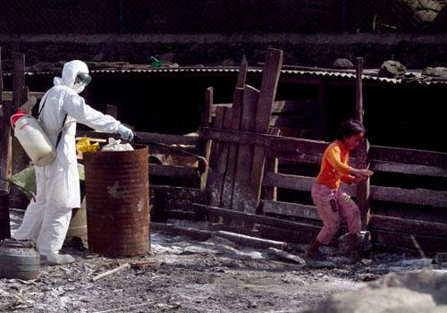 Nepal'in Katmandu eteklerinde yer alan Bhaktapur'da Veteriner Epidemiyoloji Merkezi (VEC)  yetkilileri aldıkları bir ihbar üzerine gittikleri tavuk çiftliğinde kuş gribi salgını olduğunu doğruladıktan sonra 500'den fazla tavuk ve ördeği imha etti.