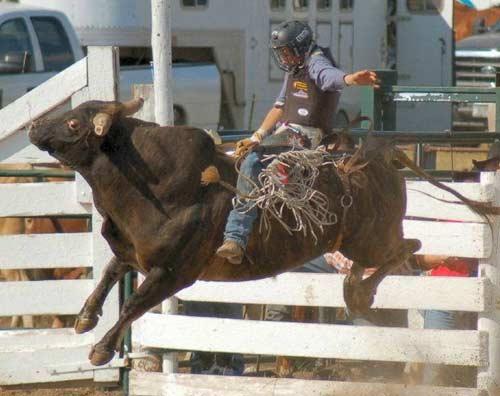 Rodeo esnasında yaşanan tehlikeli anlar...